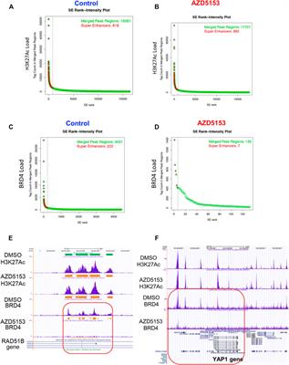 AZD5153, a Bivalent BRD4 Inhibitor, Suppresses Hepatocarcinogenesis by Altering BRD4 Chromosomal Landscape and Modulating the Transcriptome of HCC Cells